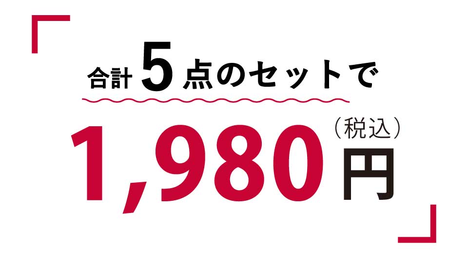 合計5点のセットで税込み1980円