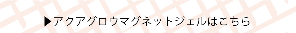 アクアグロウマグネットジェル