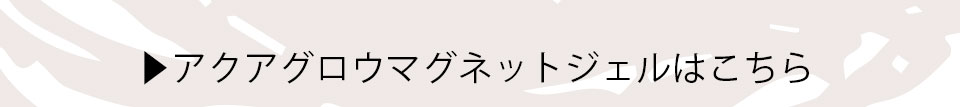 アクアグロウマグネットジェル