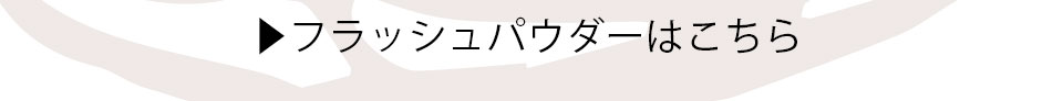 フラッシュパウダー一覧