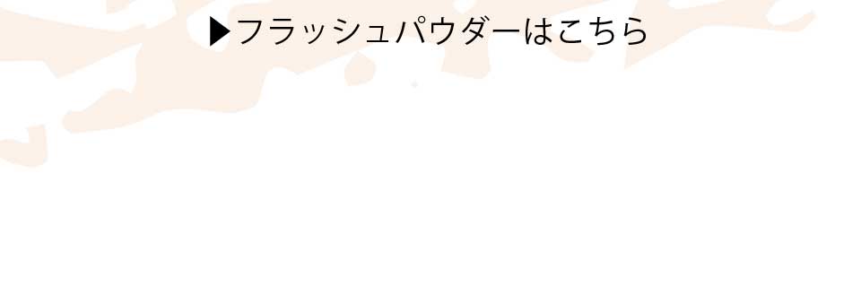 フラッシュパウダー一覧