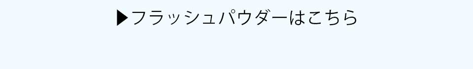フラッシュパウダー一覧