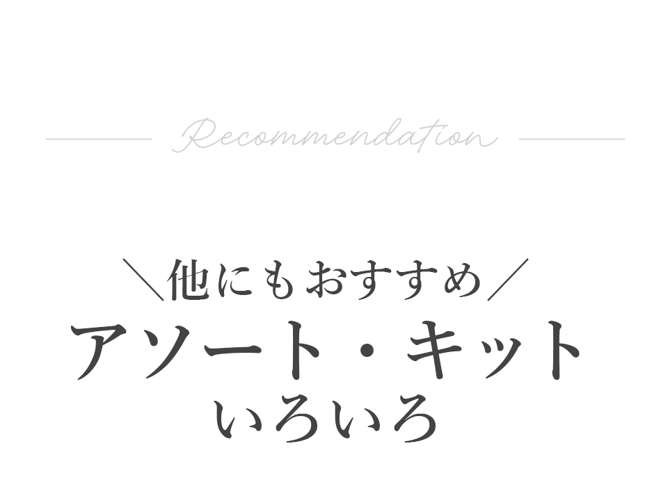 ブレイズのおすすめアソート