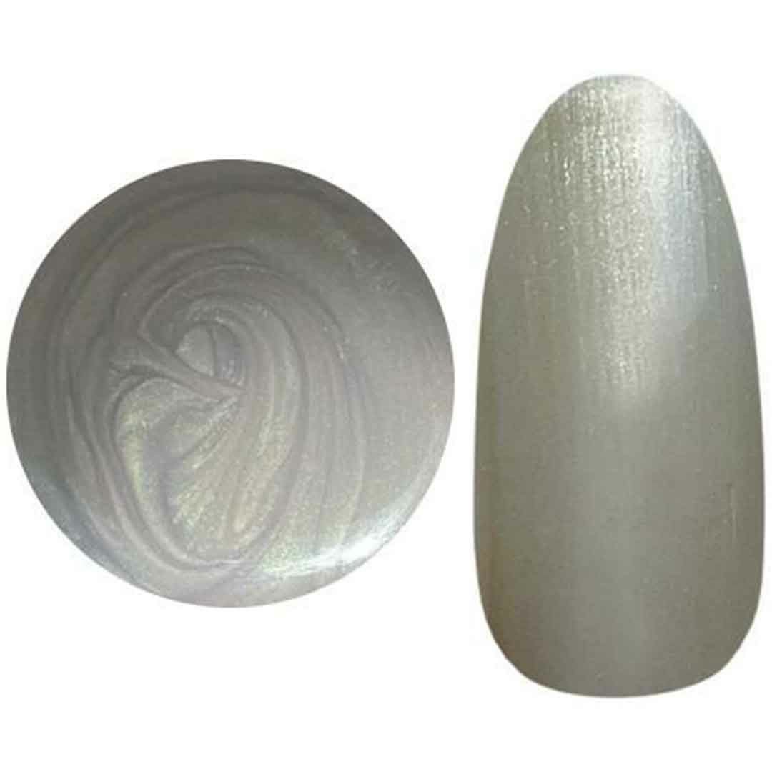 123G/-1 カラージェル 25gel | BLAZE【ブレイズ】 ネイルパーツ専門