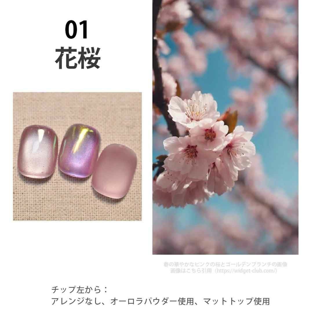 Aqua Glow Mag 1-9 アクアグロウマグネットジェル 4ミクロン カラー