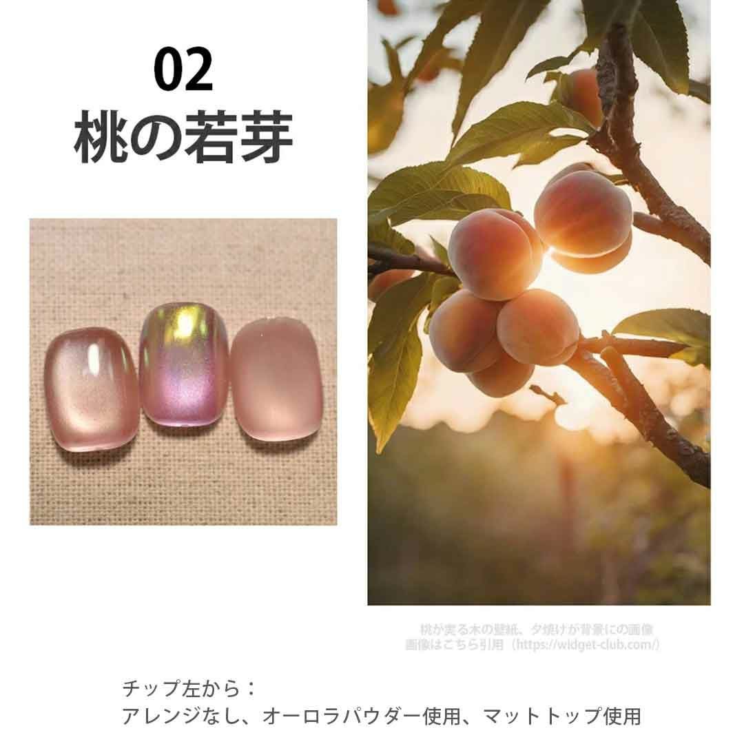 Aqua Glow Mag 1-9 アクアグロウマグネットジェル 4ミクロン カラー