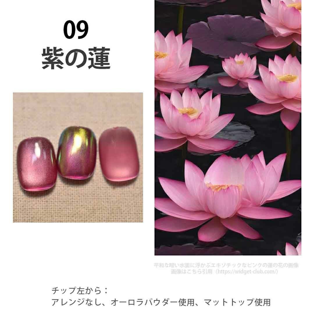 Aqua Glow Mag 1-9 アクアグロウマグネットジェル 4ミクロン カラー