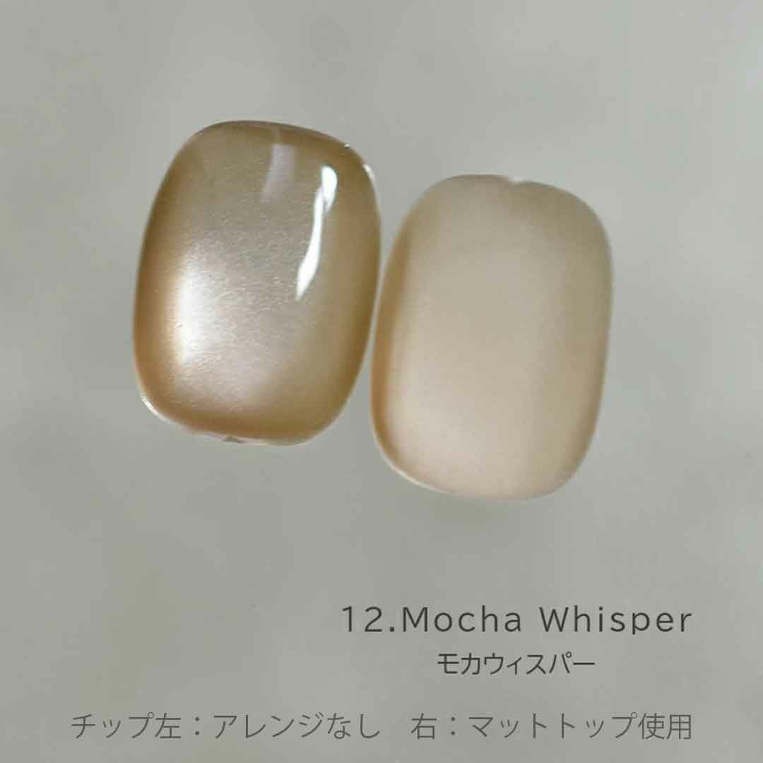 Aqua Glow Mag 10-21 アクアグロウマグネットジェル 4ミクロン カラー