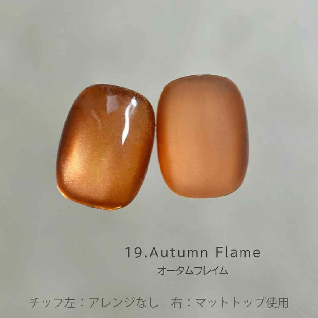 Aqua Glow Mag 10-21 アクアグロウマグネットジェル 4ミクロン カラー